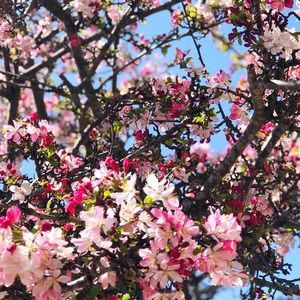 Meet your Posher, Sandy